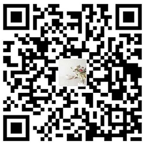 dudu 微信支付